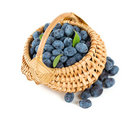 Honeysuckle berries in a basket over white
