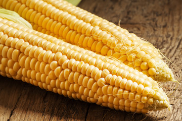 Fresh juicy organic corn, close up, selective focus