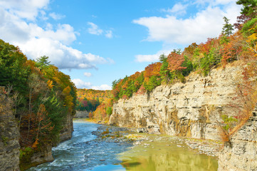 Autumn scene of river and forest
