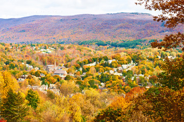 Autumn scene