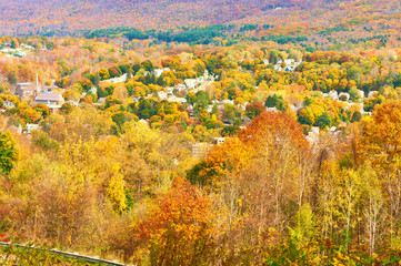 Fototapeta premium Autumn scene