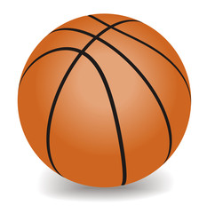 vector basketball