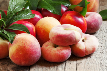 Naklejka na ściany i meble Assortment of peaches: big peaches, nectarines, flat peaches wit