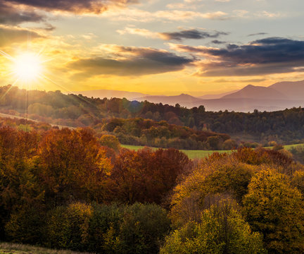 autumn forest on a  mountain hill at sunset