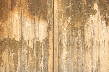 Holz Textur verwittert