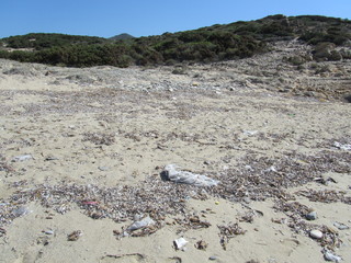 Spiaggia con spazzatura e alghe