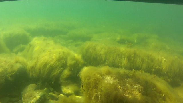 Camera movies beneath ocean kayak