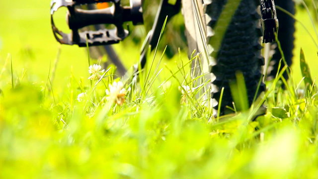 Bicycle Tire In Grass Close Up Low Angle