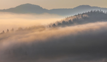 Beautiful sunrise with the morning mist