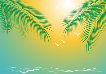 Fototapeta na wymiar Surf on a sandy beach, seagulls and a branch of palm trees