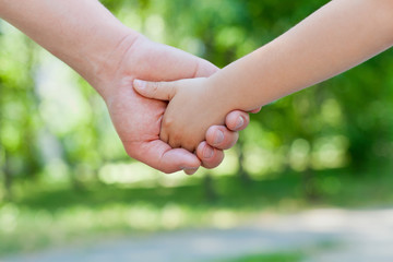 Father holds the hand of a little child in sunny park outdoor, united family concept, nature background, shallow dof