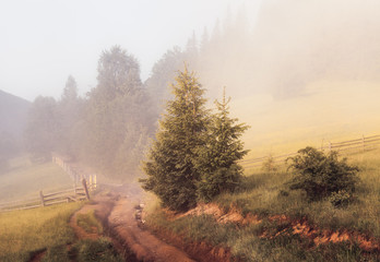 Beautiful sunrise with the morning mist