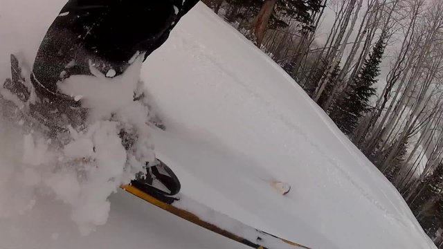 skiing through fun powder