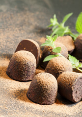 Homemade chocolate truffles with mint sprinkled with cocoa powde