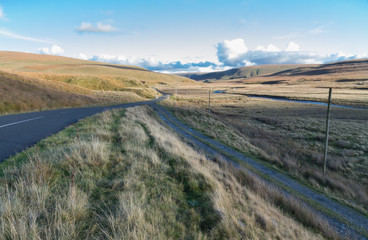 Road through British grassy wilderness, evening.