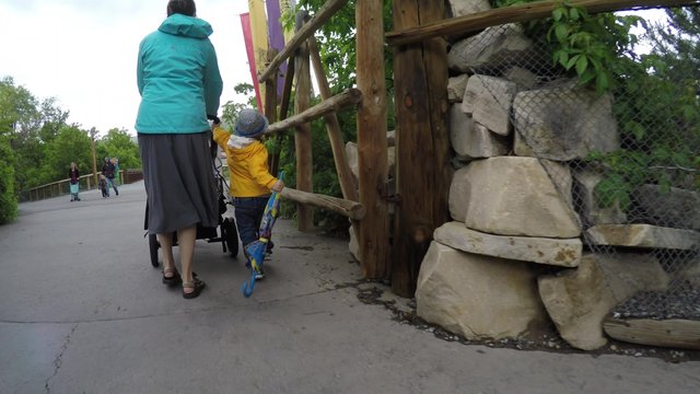 Gimbal shot of mother and toddler at the Hogle zoo