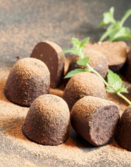 Homemade chocolate truffles with mint sprinkled with cocoa powde