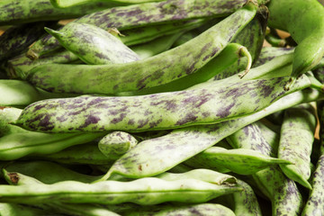 Fresh green beans on wooden table, selective focus