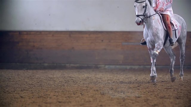 Slow Motion Riding Bloody White Horse in Hall