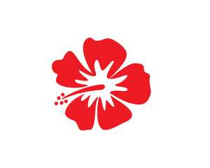 Hawaii Flower
