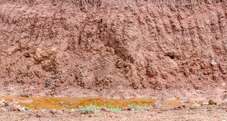 Crack soil on dry season, Effect of Global worming, Soil backgro
