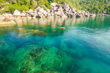 Beautiful Koh Tao islands in Thailand. snorkeling paradise with