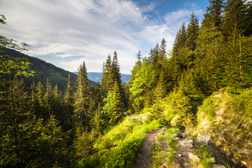 Majestic mountains landscape with fresh green leaves