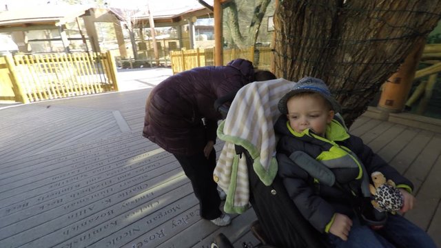 mother checking on baby in stroller at the zoo