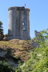 Chateau de Lavardin