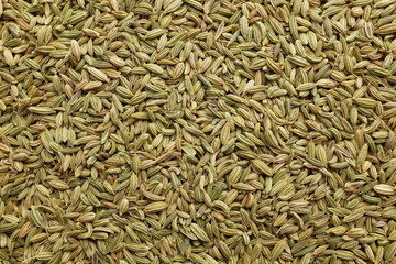 Fennel seeds background
