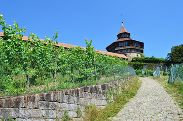Burg in Esslingen