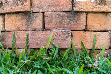Brick background with grass