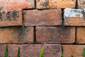 Brick old background