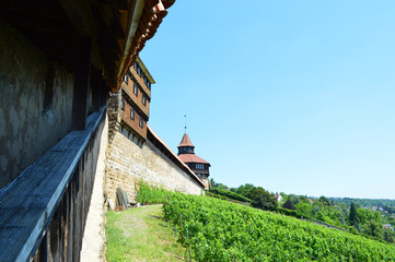 Burg in Esslingen