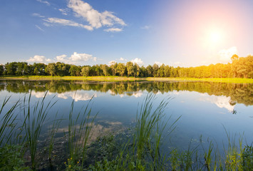 Fototapeta Widok jeziora w słoneczny dzień obraz