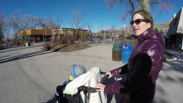 a mother pushing stroller through zoo 4k