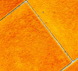 in london   the    abstract    texture of a ancien wall and ruin