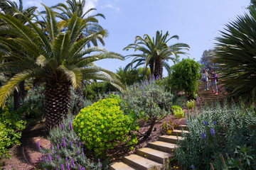 Botanical garden of Barcelona in spring, Spain