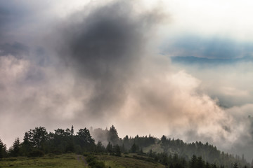 Misty morning in the Carpathians