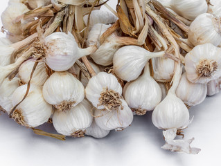Garlic white background
