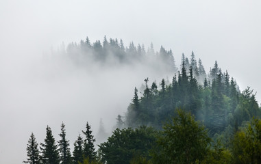 Misty morning in the Carpathians
