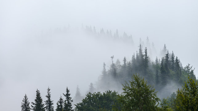 Misty morning in the Carpathians © Dmytro Kosmenko