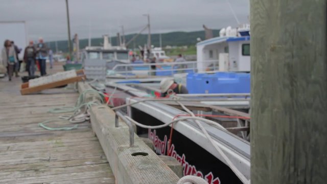 group of fishermen in the harbor at nova scotia jib shot
