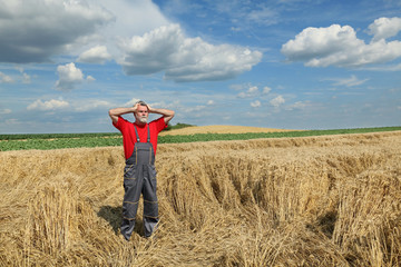 Agriculture, desperate farmer gesture in damaged wheat field