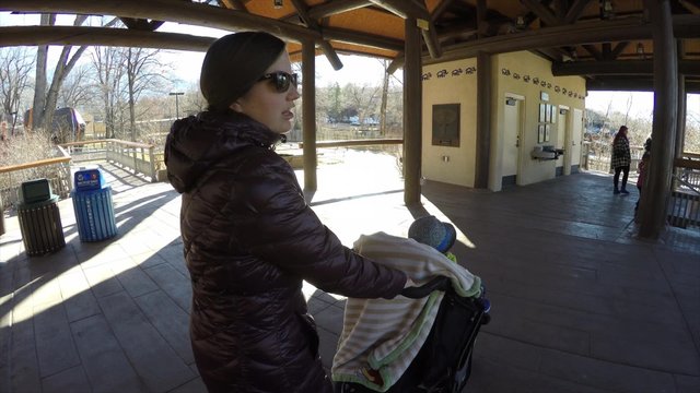 mother pushes her toddler in stroller at zoo watching elephant