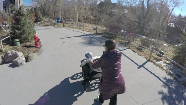 a mom and toddler with stroller walk at the zoo
