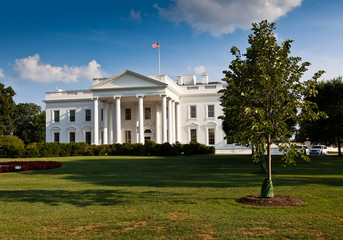 The White House - Washington DC, United States - 86826291