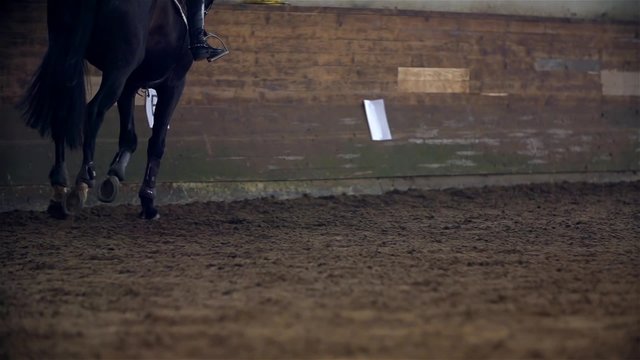 Slow Motion Horse Galloping in Riding Hall