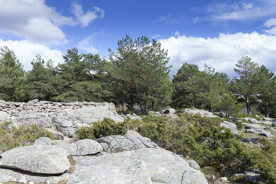 Rocky Scenic