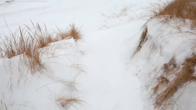 a steadicam shot of snowy winter beach